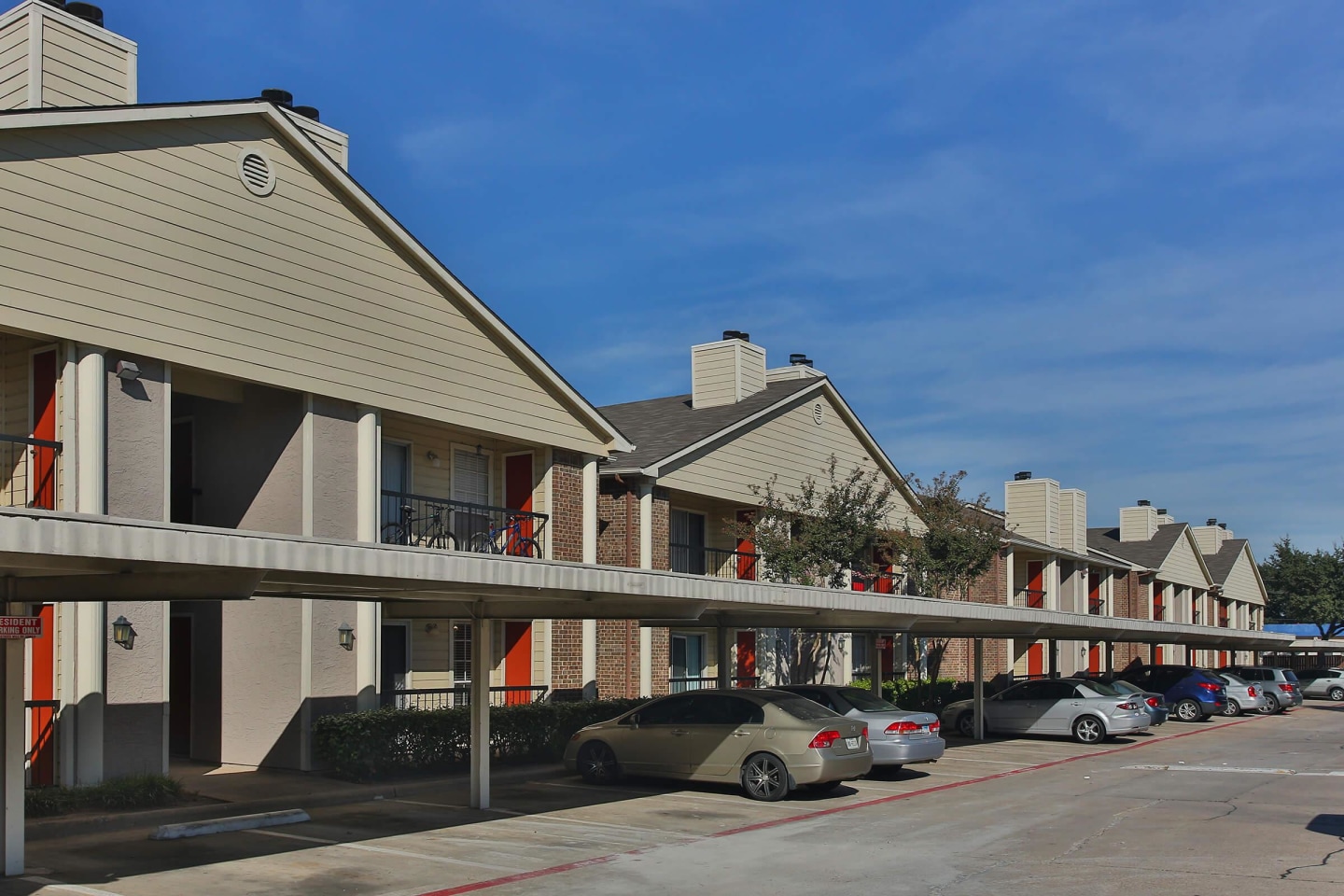 Savannah Image 3