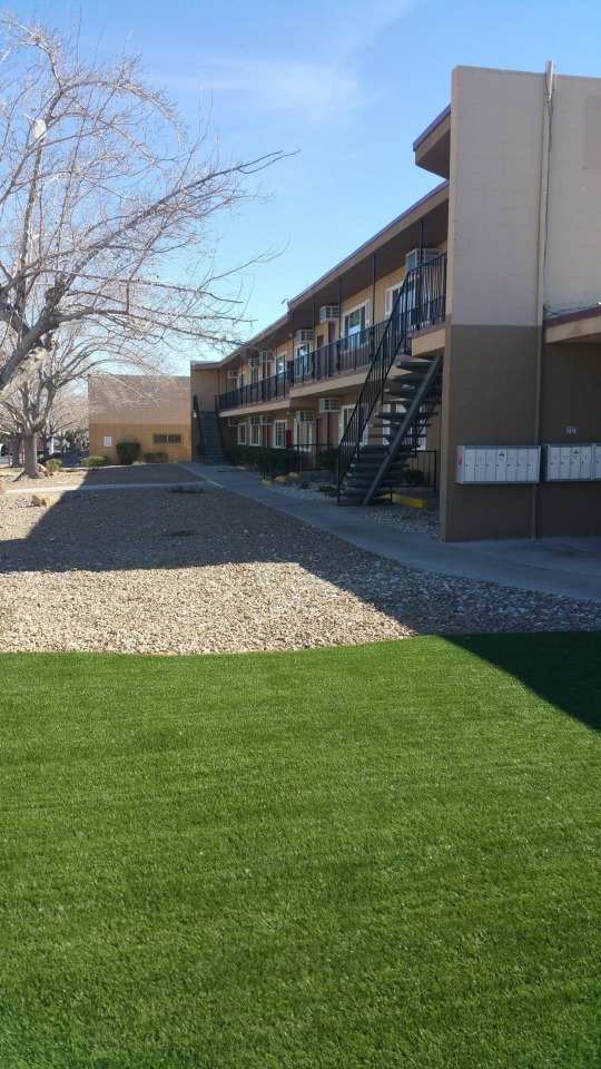 Mojave Breeze Image 35