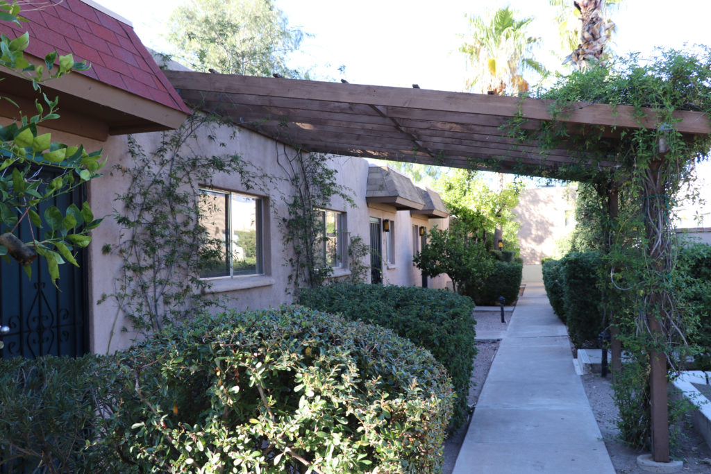 Palm Garden Image 22