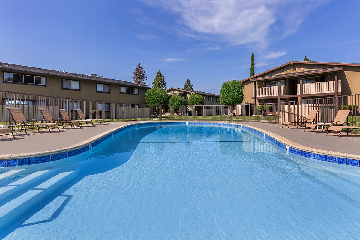 Saddleback Ranch Image 1