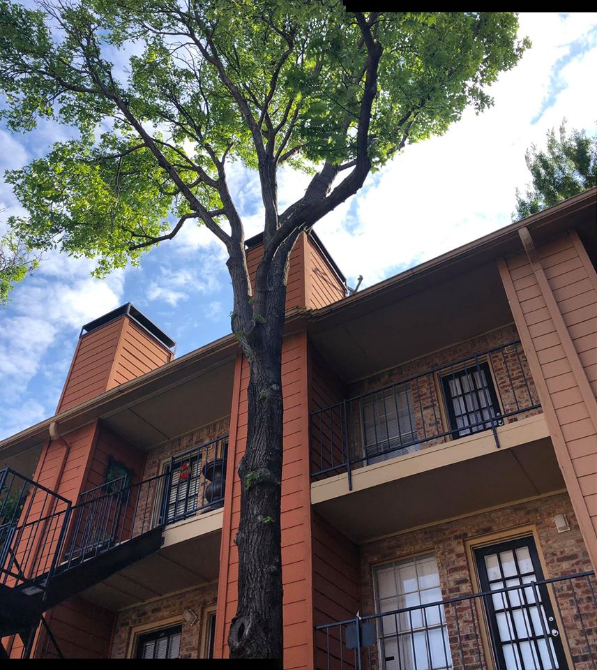 Sedona Ridge Image 26