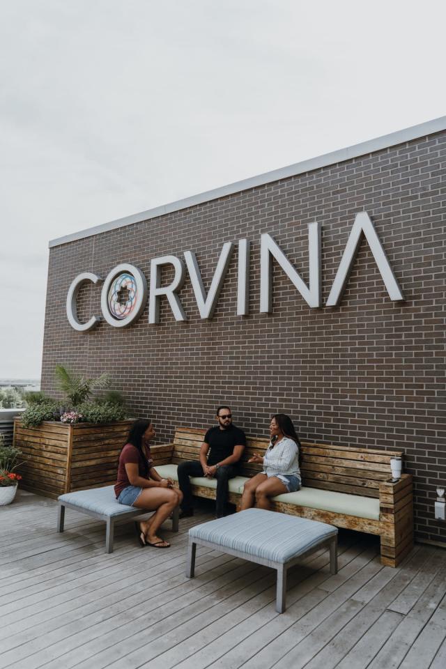 The Corvina Image 17