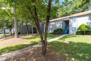 Windward Forest Image 19