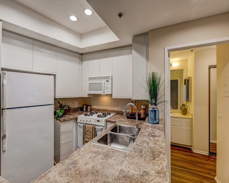 Palm Court Apartments Image 5
