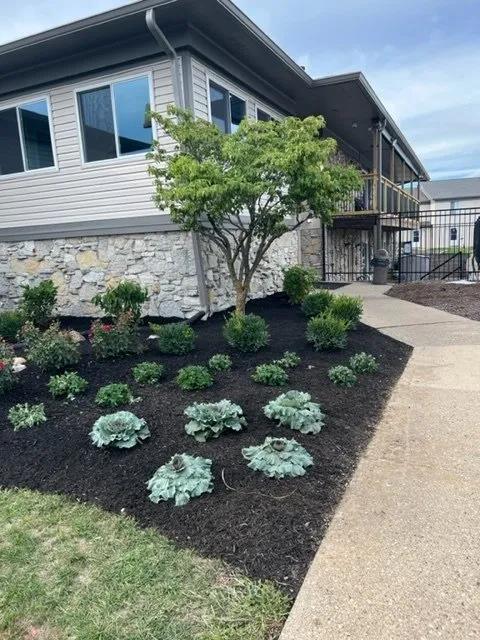 Village Square Apartments Image 11