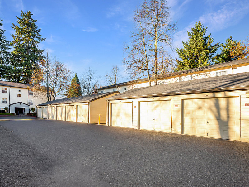 COHO138 Image 35