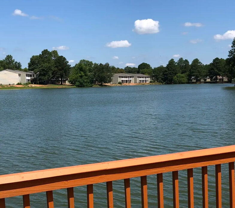 Lake Vista Image 3