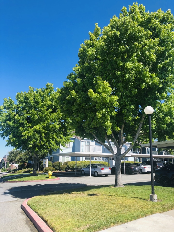 Mariner Village Image 5