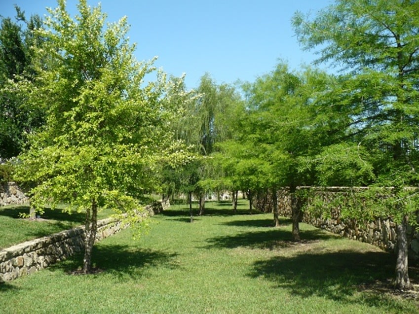 Spicewood Crossing Image 15
