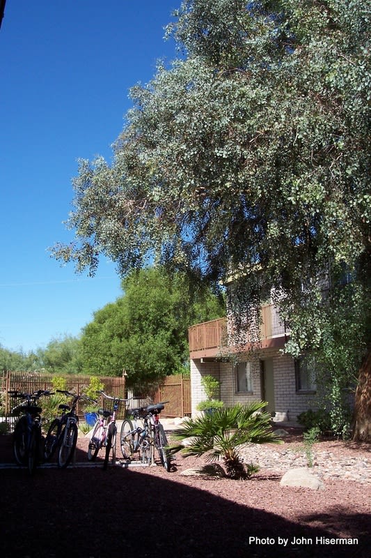 Mountain Plaza Image 18