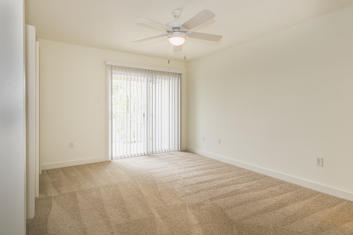 Ash Tree - Student Housing Image 8