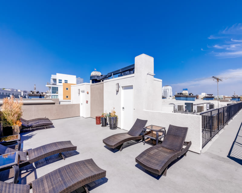 Palm Court Apartments Image 31