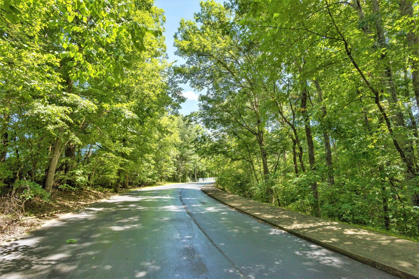 Cross Creek Image 34