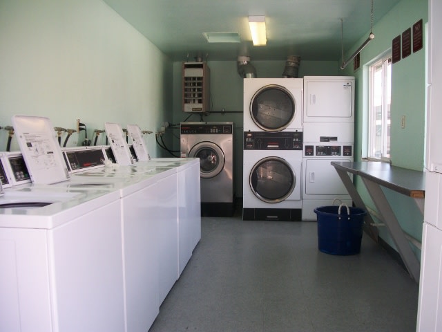 Village of the Pines Image 1