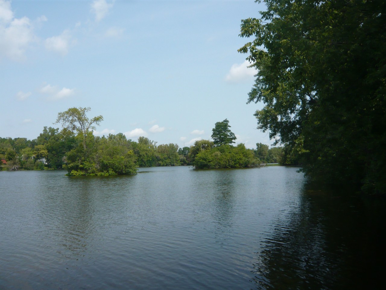 Shoreview Apartments Image 7