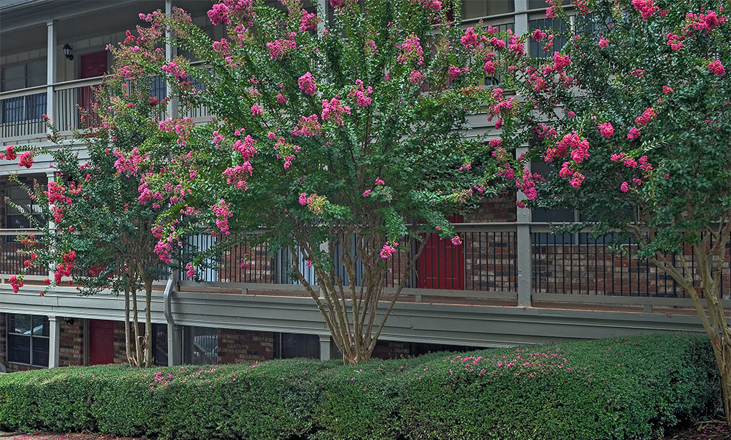 Westside Heights Image 24