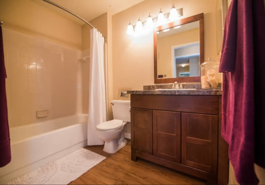 Grande Oasis at Carrollwood Image 3