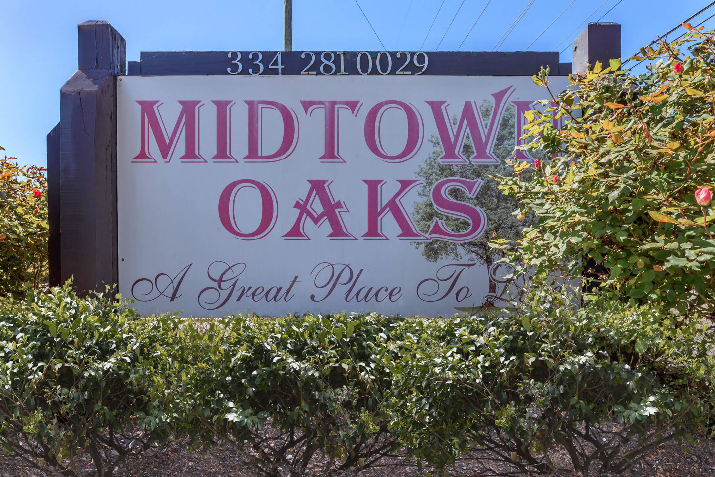 Midtown Oaks Image 22
