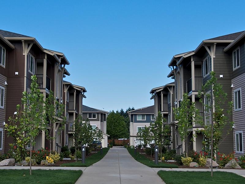 Baseline Woods Image 34