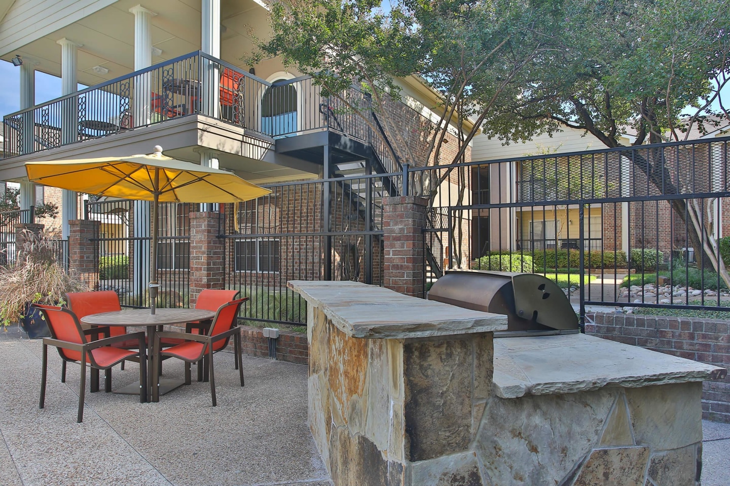Savannah Image 11