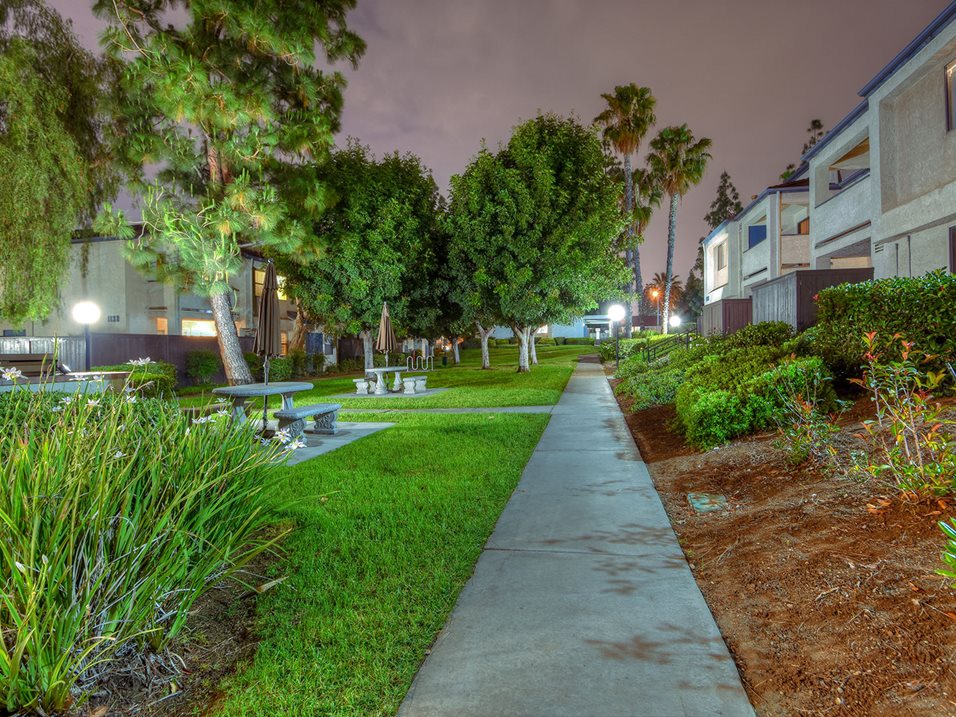 Windwood Image 20