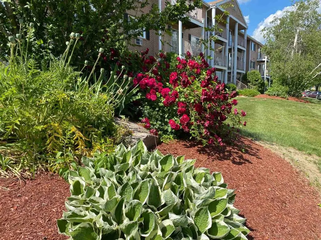 Park View Hills Condominium Image 13