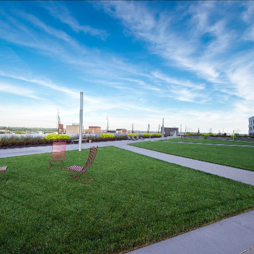 Skyline Tower Image 8