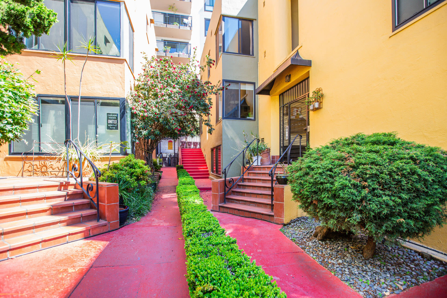 226-230 Orange Street Image 7