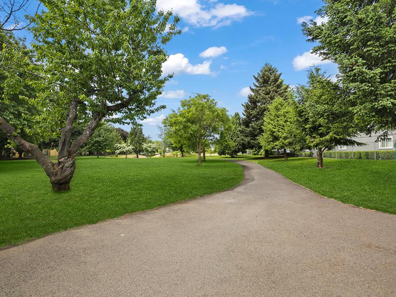 Andresen Park Image 26
