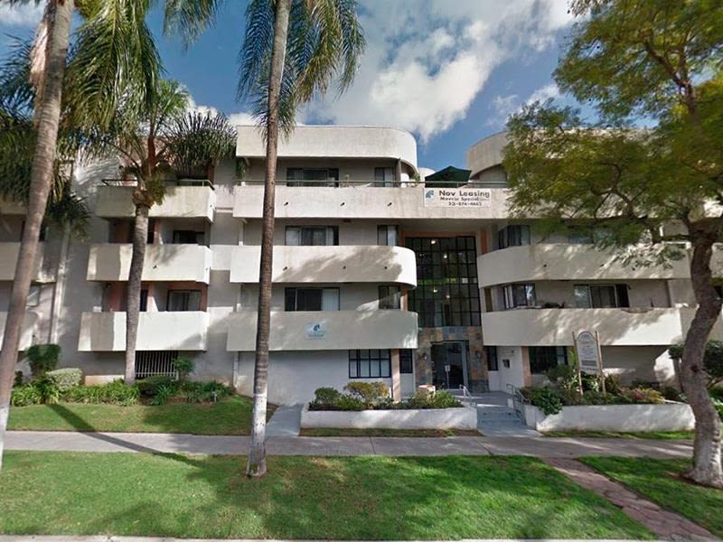 Poinsettia Club Image 5