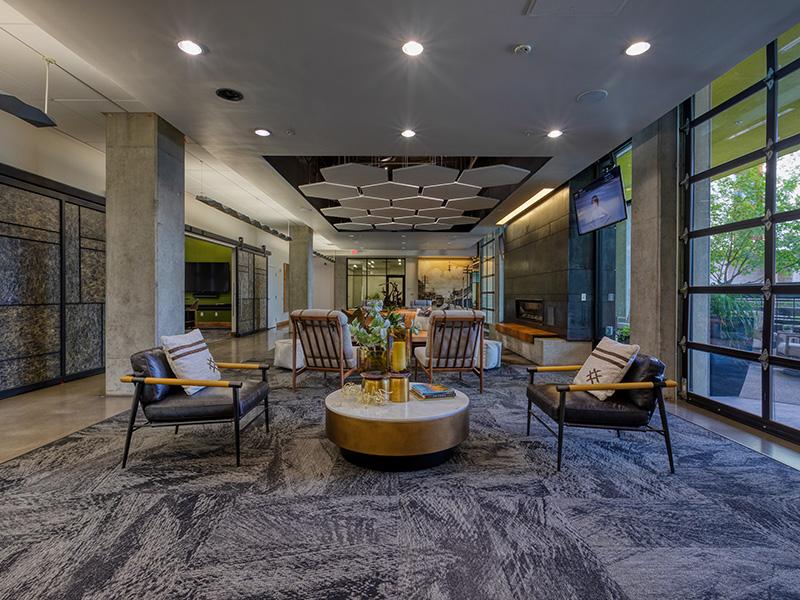 Agave 350 Image 18