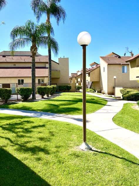 Peppertree Image 12