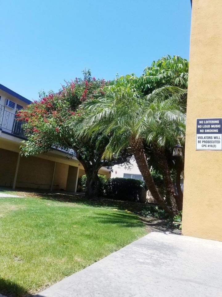 Velvet Green Apartments Image 11