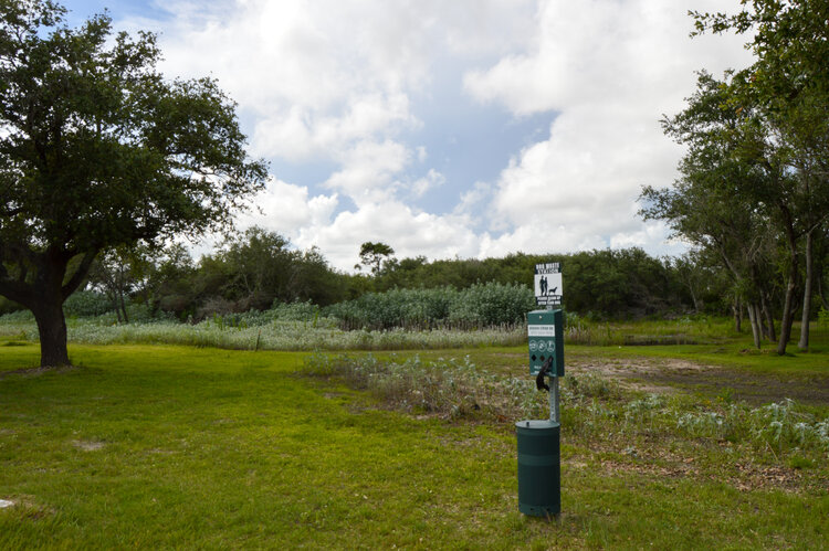 Oasis Image 17