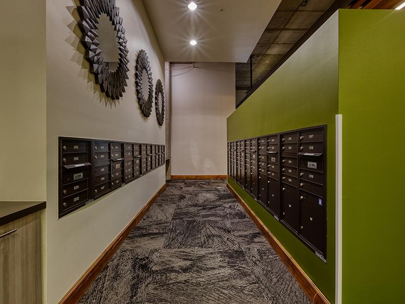 Agave 350 Image 16