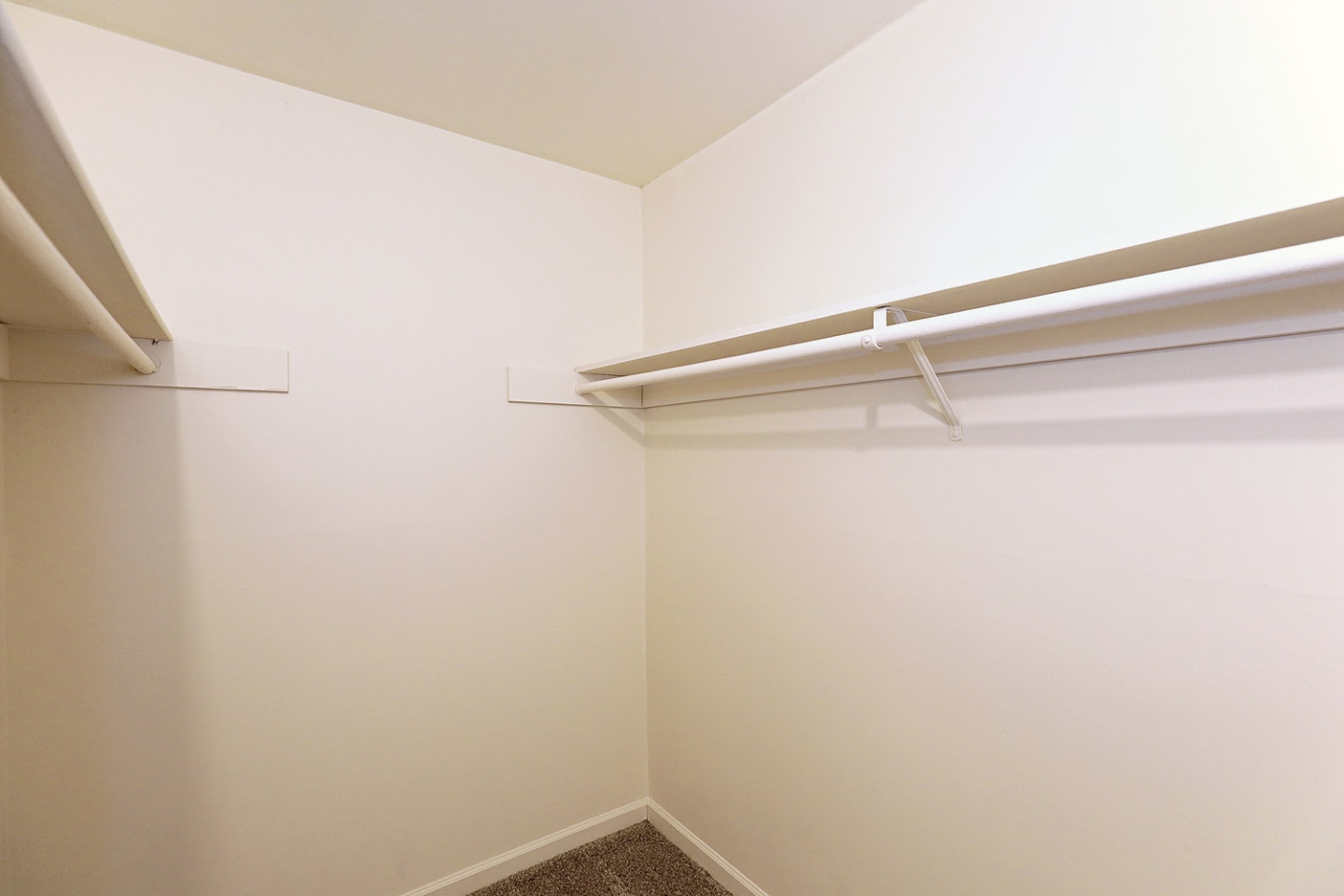 The Morehead Apartments Homes Image 7