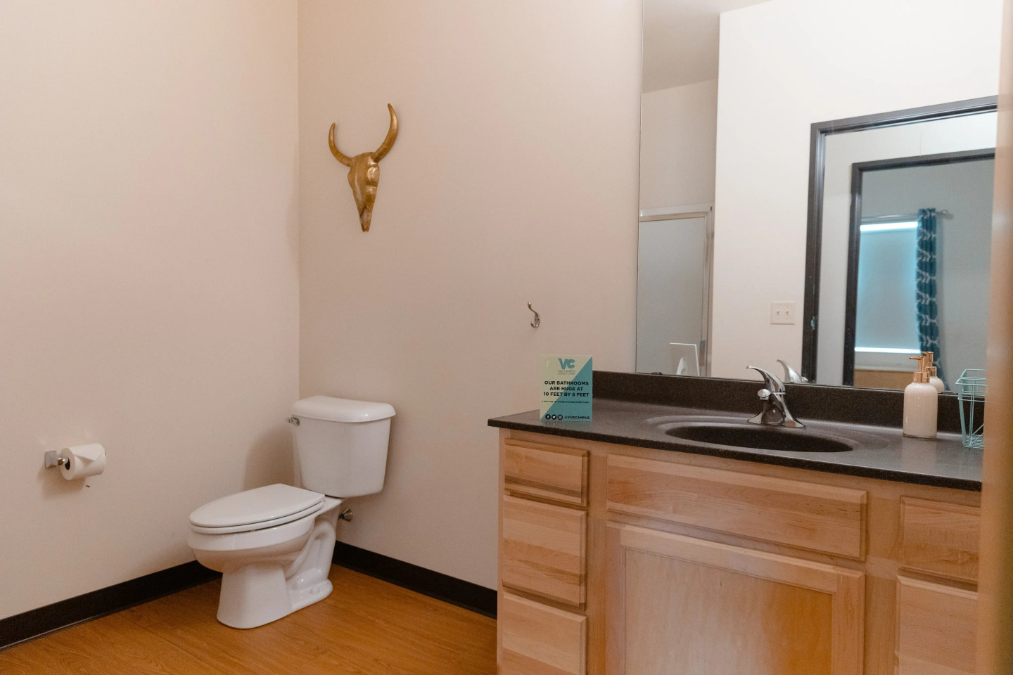 Vue Campus Apartments - Student Housing Image 4