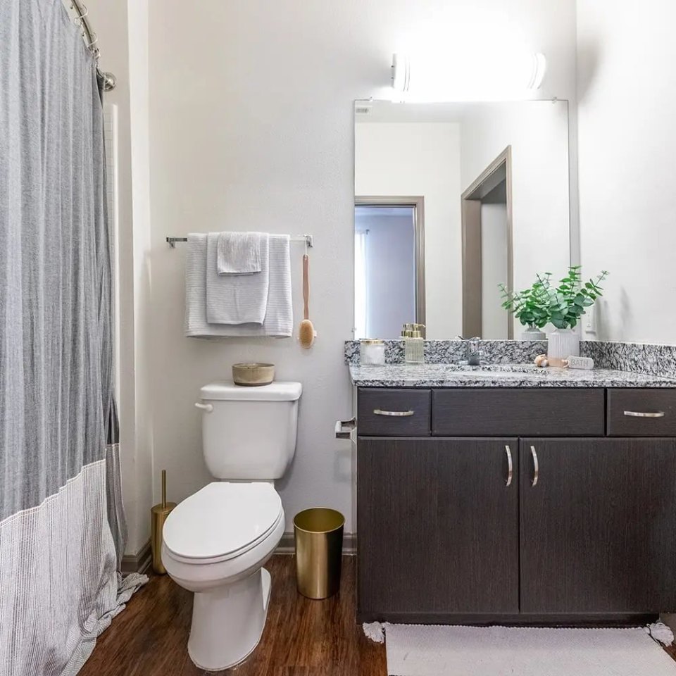 The Luxe on West Call - Student Housing Image 5
