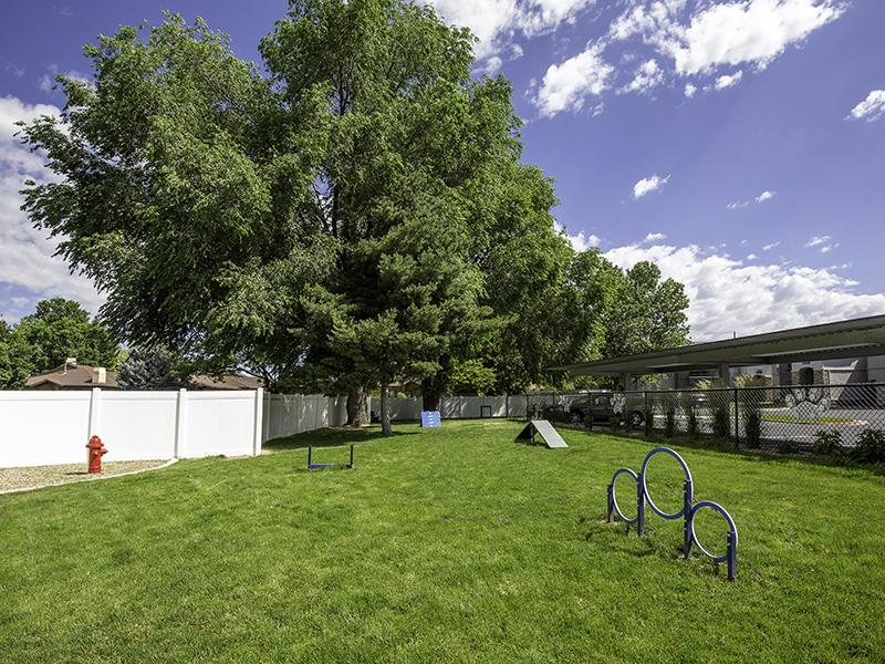 Alpine Meadows Image 35