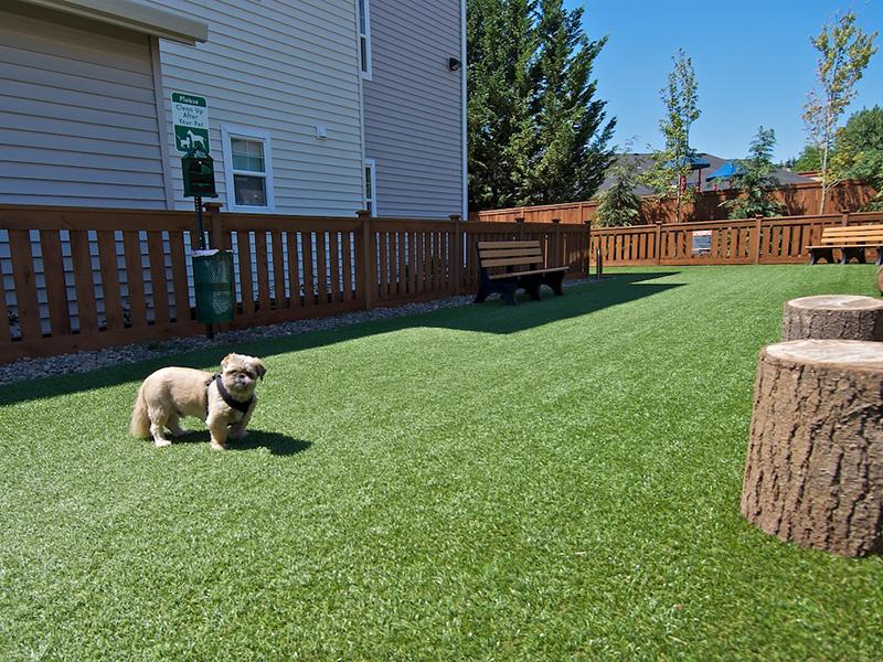 Baseline Woods Image 40