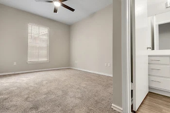 Newport Apartments Image 6
