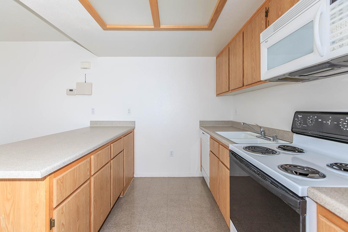 Desert Meadows Image 10