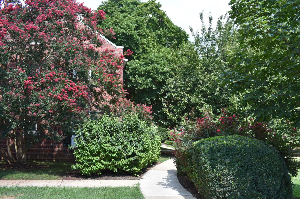 Colonial Village Apartments Image 28
