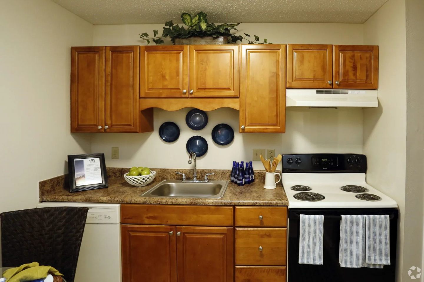 Coastal Pointe Apartments Image 1