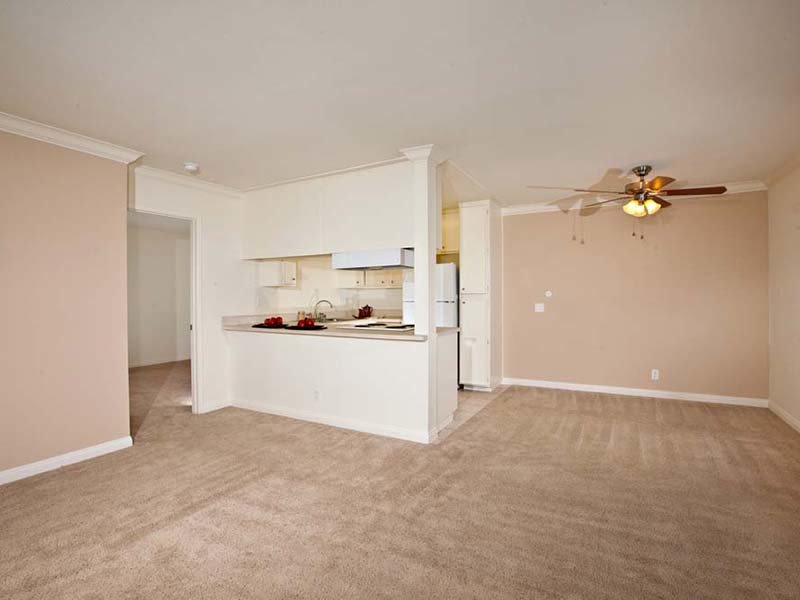 Elan Seacrest Image 5
