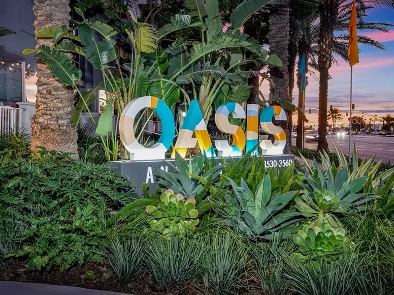 The Oasis Image 22