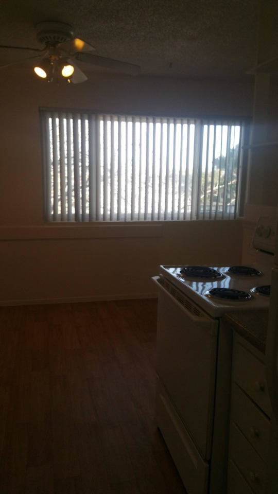 Mojave Breeze Image 6
