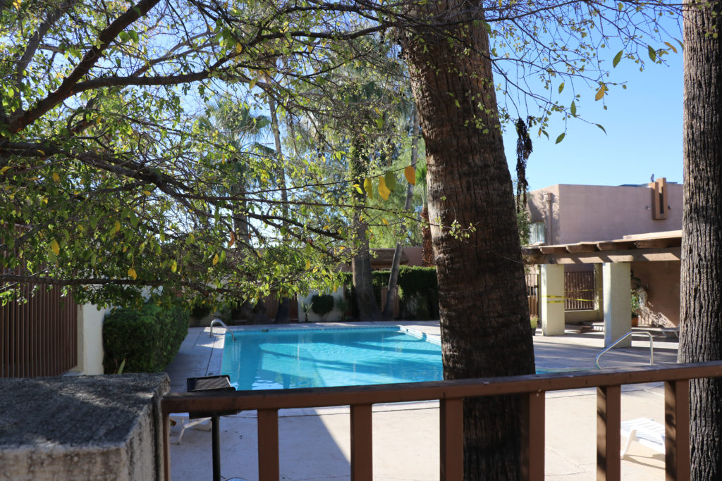 Palm Garden Image 1