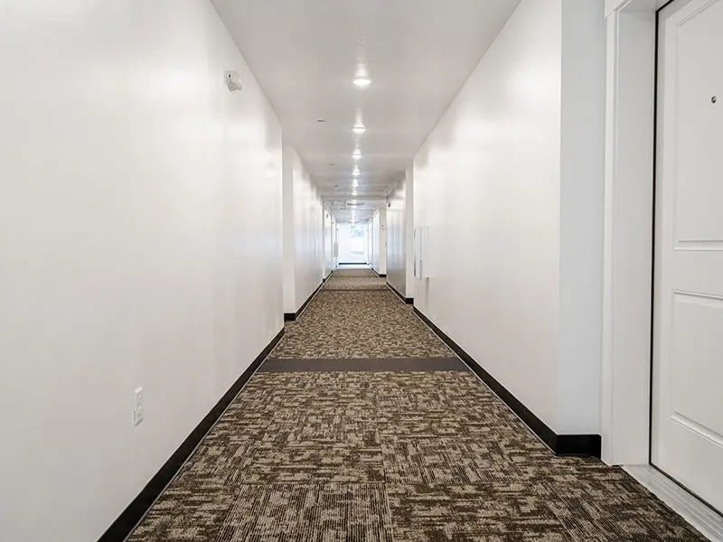 The Lofts at 5 Points Image 19