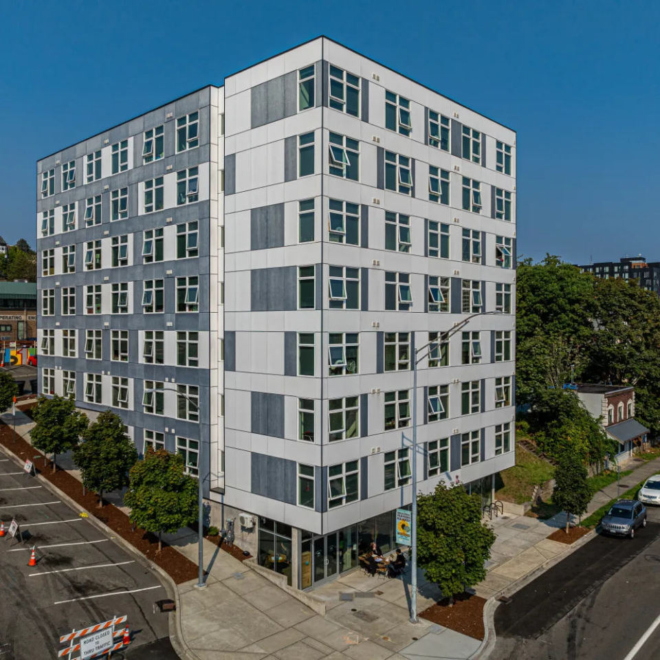 Koz on Market Image 17